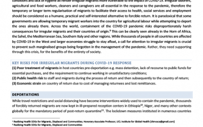 Situational Brief on Deportations & Irregular migrants – EN